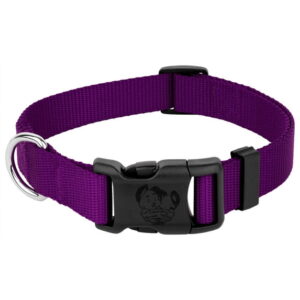 Nylon Dog Collar – Purple