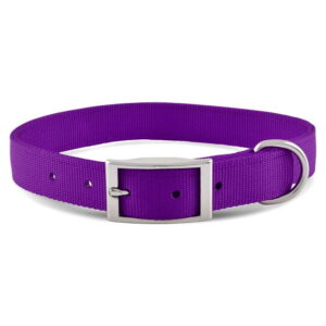 Nylon Dog Collar with Metal Buckle – Purple