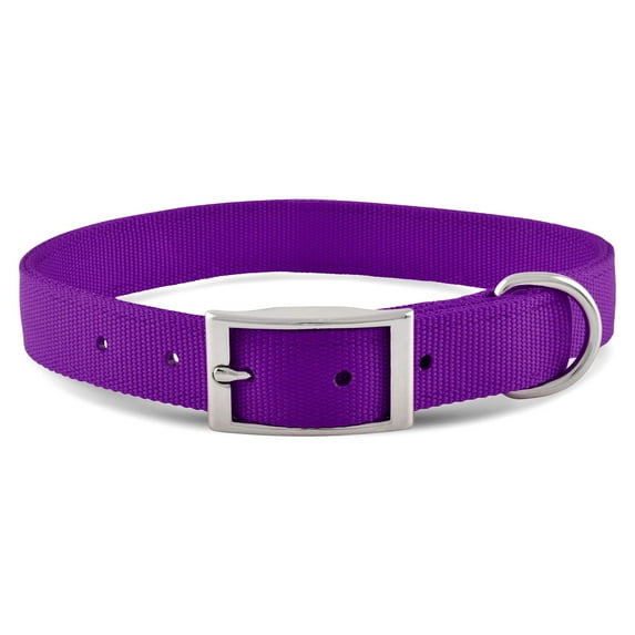 Nylon Dog Collar with Metal Buckle – Purple