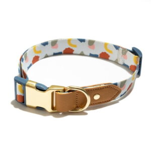 Abstract Print Dog Collar with Metal Buckle – Multicolor