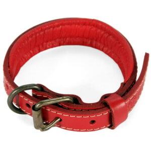 Padded Leather Dog Collar with Metal Ring